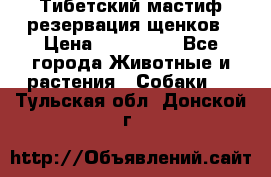 Тибетский мастиф резервация щенков › Цена ­ 100 000 - Все города Животные и растения » Собаки   . Тульская обл.,Донской г.